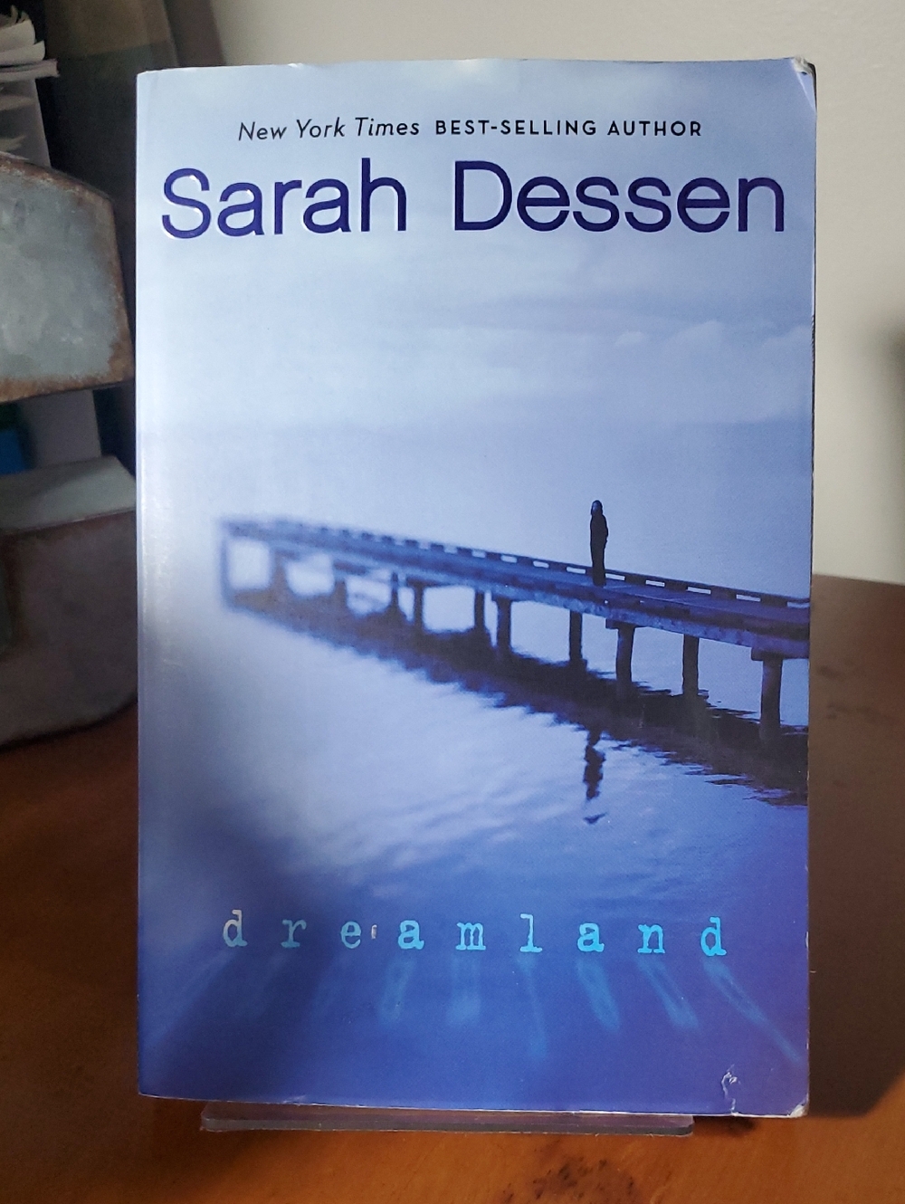 Sarah Dessen "Dreamland" Paperback - Blue Cover (11)
